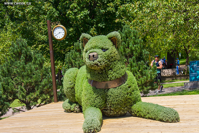 Hachiko the Loyal Dog